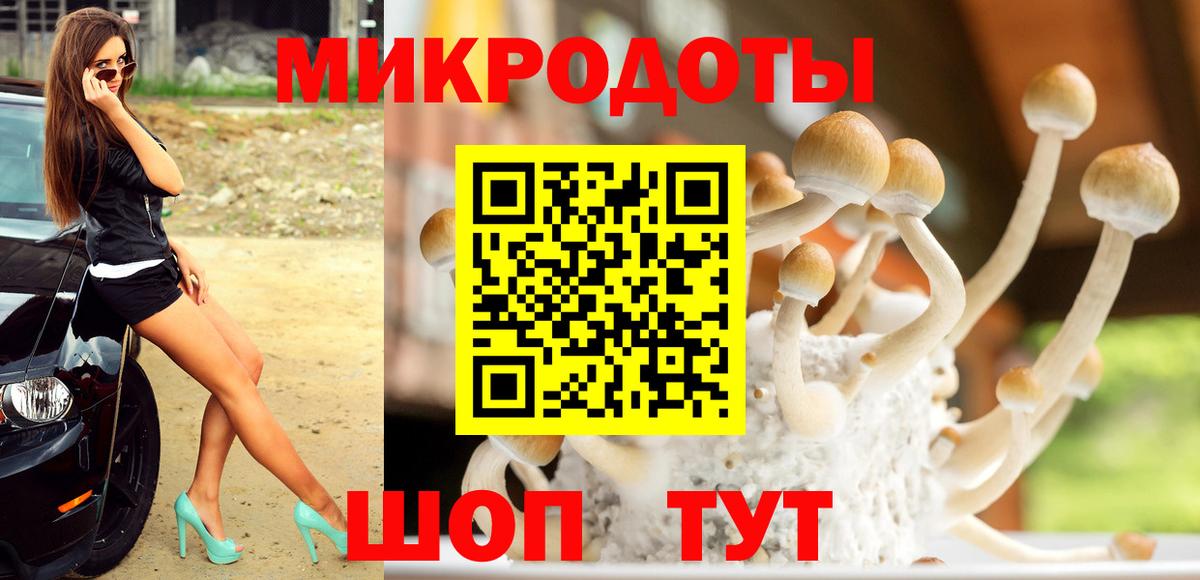 Галлюциногенные грибы мухоморы Можайск