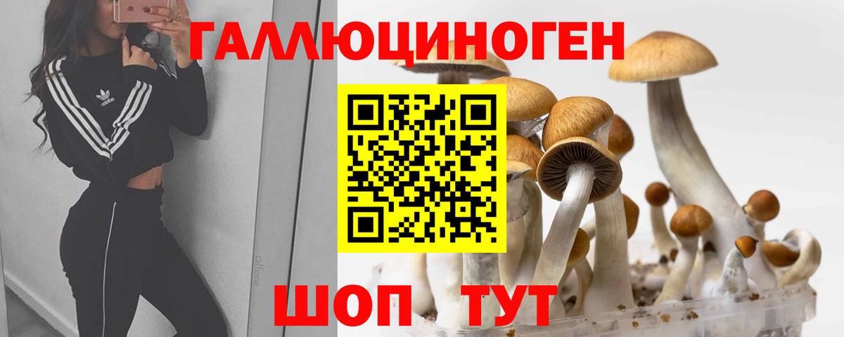 Можайск  Псилоцибиновые грибы Cubensis  Псилоцибиновые грибы мицелий  Вход с VPN 